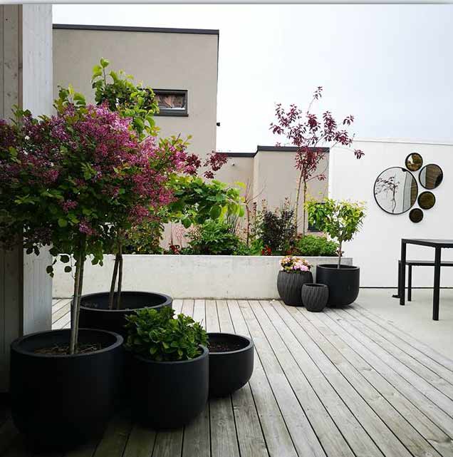 花园设计—自然风屋顶花园2