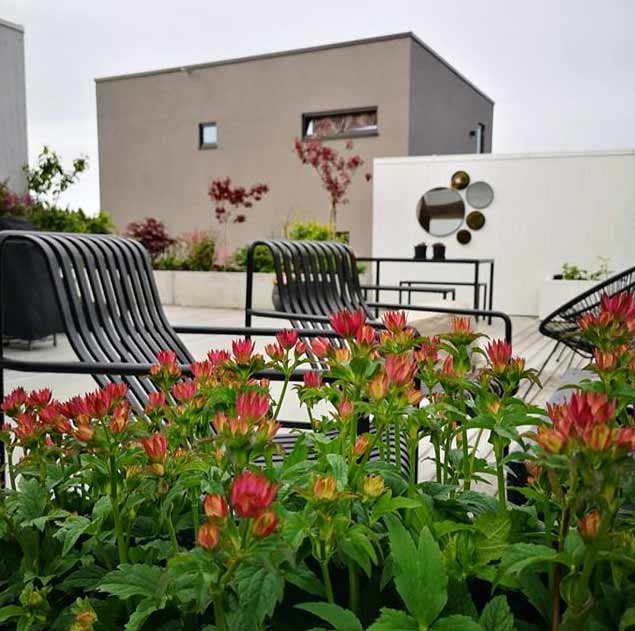 花园设计—自然风屋顶花园3