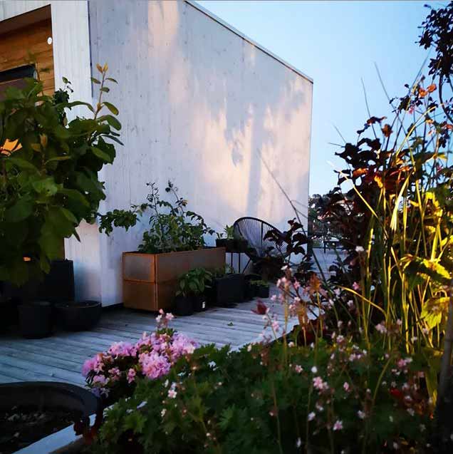 花园设计—自然风屋顶花园5