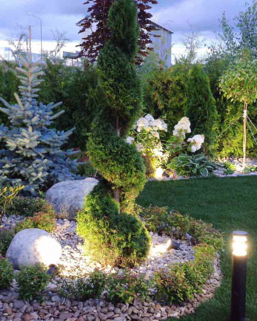 花园设计—花园灯光花园造型树1