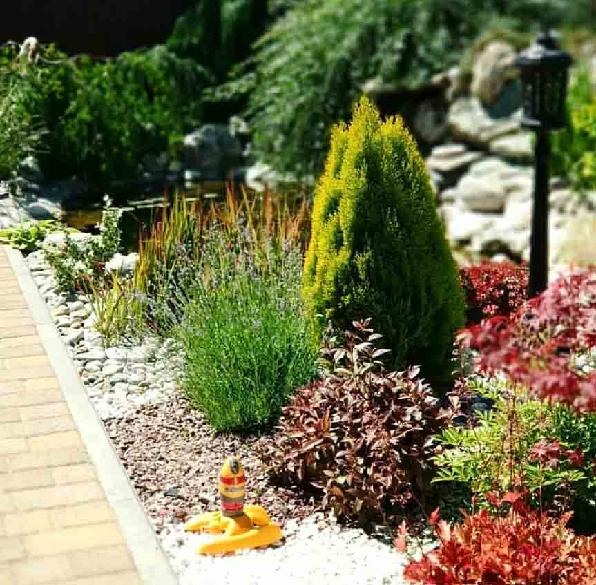 花园设计—花园灯光花园造型树8
