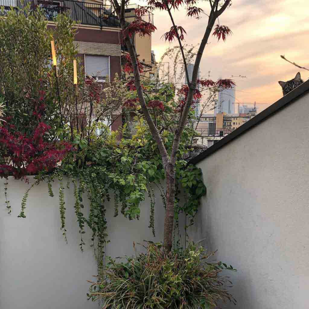 花园设计—露台花园8